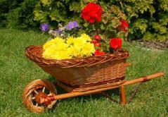 Подставка садовая для цветов Тачка